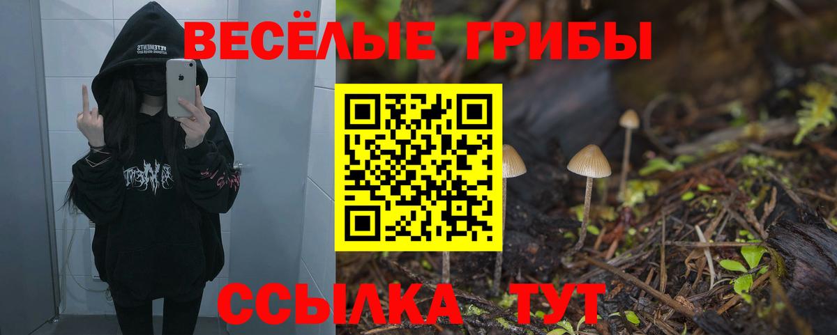 Псилоцибиновые грибы Psilocybine cubensis  Галлюциногенные грибы MAGIC MUSHROOMS  Отрадное  Вход с VPN 