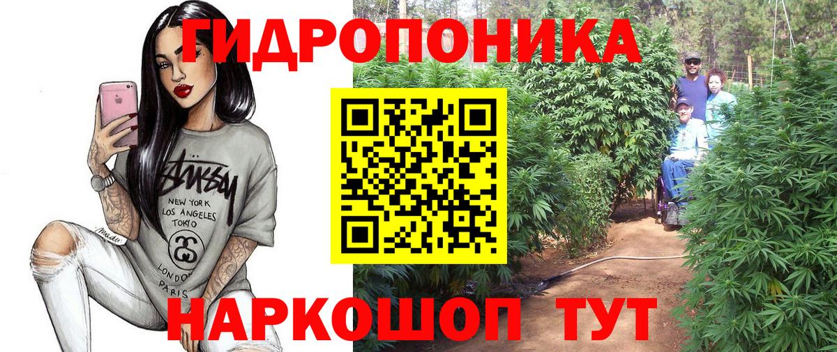 Бошки Шишки гибрид Отрадное